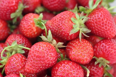 Strawberry fields forever