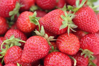 Strawberry fields forever