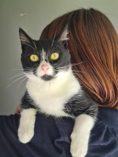 Get your best friend at the SPCA