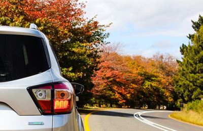 Car renter, beware!