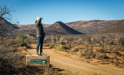 SANParks website crashes as thousands rush to make bookings