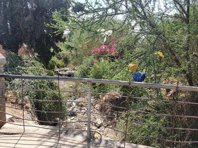 Businesses dump litter in Sundays River