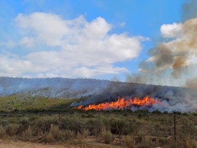 Haarlem fires contained