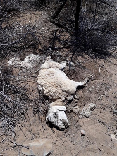 Help SA for Hope met uitreik na Klein-Karoo