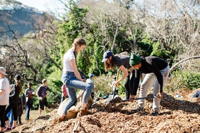 More indigenous trees for Garden Route