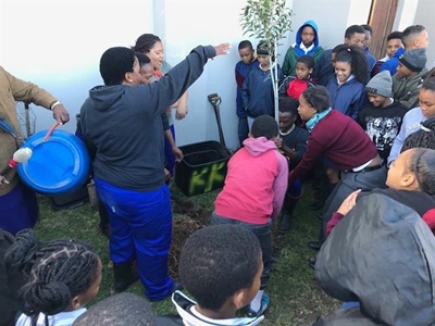 The gradual greening of Kurland