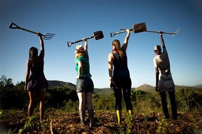 Open volunteer days for Knysna locals