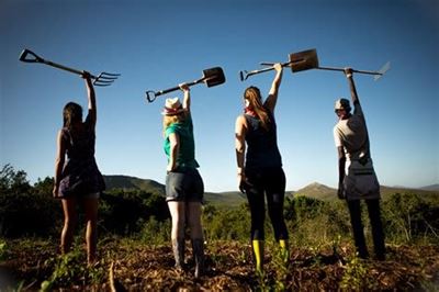 Open volunteer days for Knysna locals