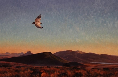 Art exhibition will excite bird lovers
