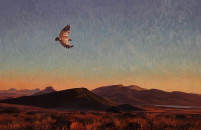 Art exhibition will excite bird lovers