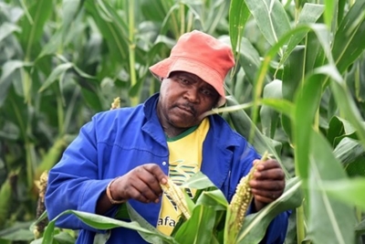 Why land reform fails – but not in the WC