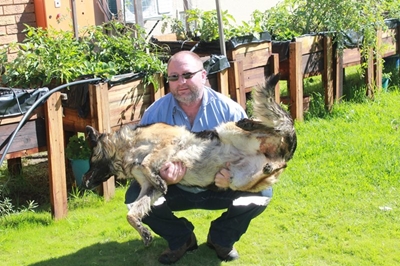 Burglars kill family dog to break into house