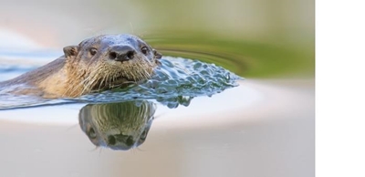 Call on nature lovers to record species
