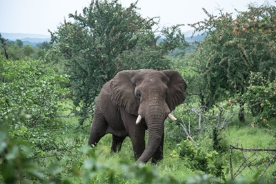SANParks week: Here’s when you can visit national parks for free