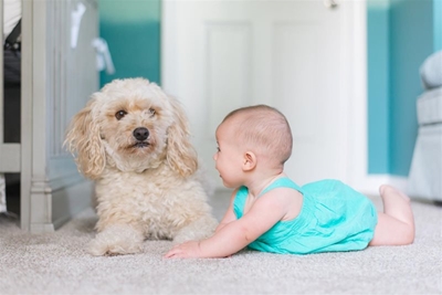 Tasks to add to your annual spring-cleaning list