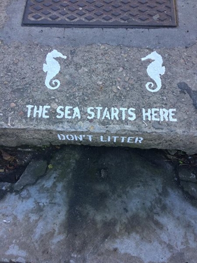 Multiple interventions to protect estuary health