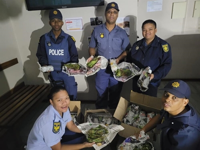 Stash khat found on coach