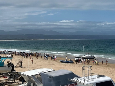 Rabies protocols activated after Seal incident in Plett