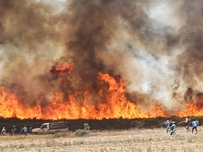 Garden Route wildfire: Haarlem Vyekraal 
