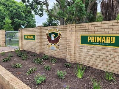 Probes into pills found in chips