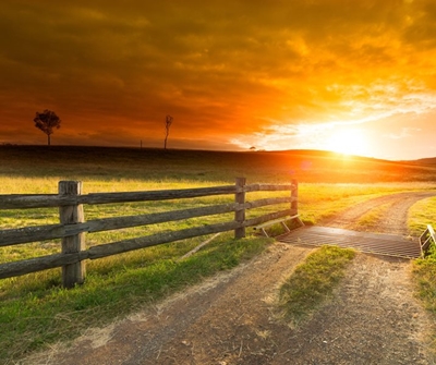 Land reform: Three decades squandered 