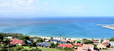 Algal Bloom raises concern