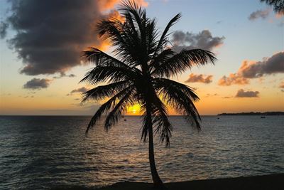 Weather: Fog and morning rain at the coast, becoming fine and pleasant