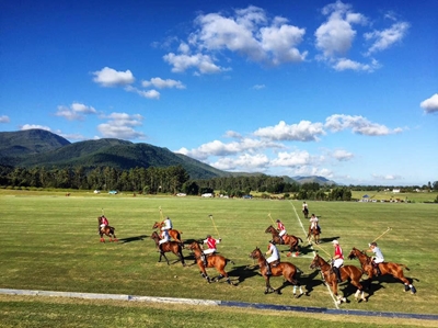 40 international lawyers to Plett for polo