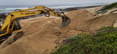 Whale carcass burial on beach