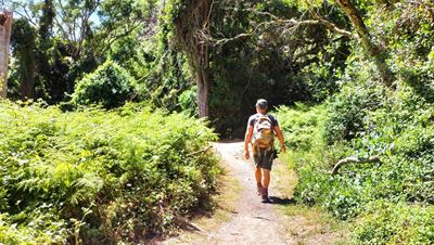 Day visitors will enjoy free entrance during parks week
