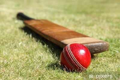 Smith and Warner back for Australia against NZealand 
