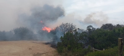 Update on Hansmoeskraal Veldfire