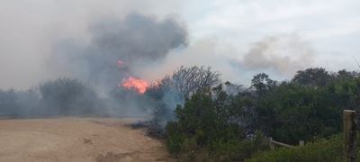Update on Hansmoeskraal Veldfire