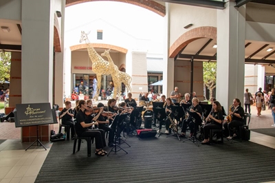 Valentine's concert: romance and music in a garden