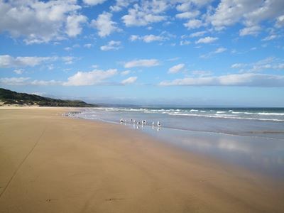 Help om Hartenbos se strand skoon te maak