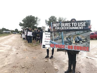 Circus in Plett: No raining on protesters' parade