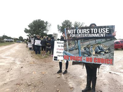 Circus in Plett: No raining on protesters' parade