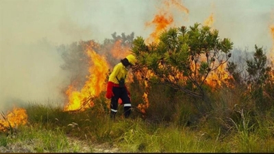 Controlled burn scheduled for Tsitsikamma Section of park