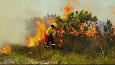 Controlled burn scheduled for Tsitsikamma Section of park