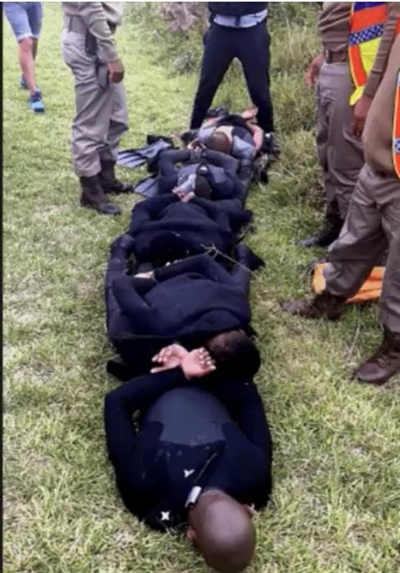 Six suspected poachers apprehended in Plett