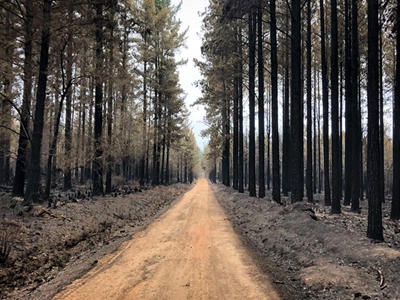 Latest Garden Route fire update