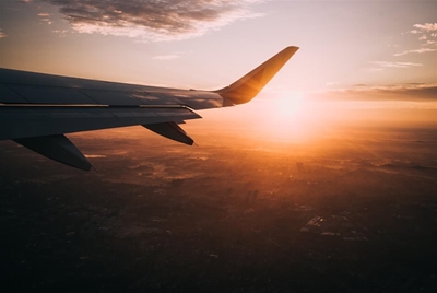 International trips show increase