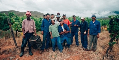 SA workers value respect more than money