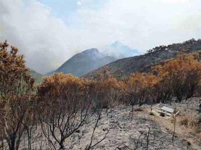 Garden Route fire update