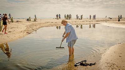 Plett joins the global polution-fighting thrust