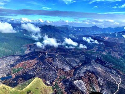 Environmental management is key