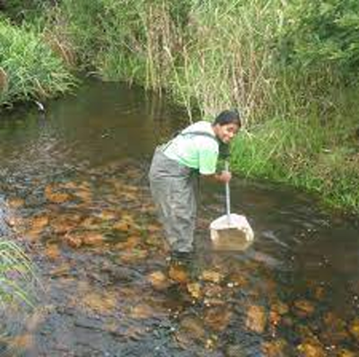 Cape Town accredited as a Ramsar Wetland City