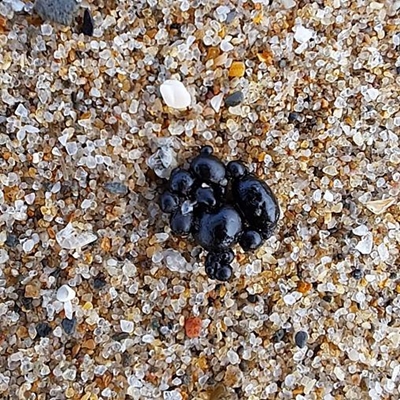 Oily substance 'not caused by PetroSA'