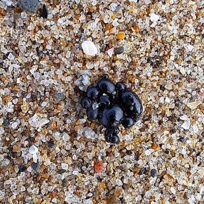 Oily substance 'not caused by PetroSA'