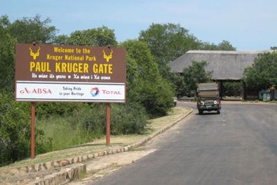 Search launched for missing Kruger Park ranger